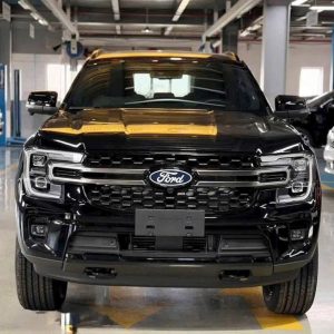 ford everest platinum 1 cầu máy dầu quy nhơn bình định